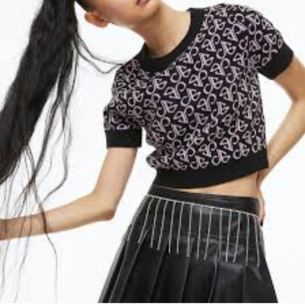 H&M BLAKEPINK Cropped Knitted Top Size M
